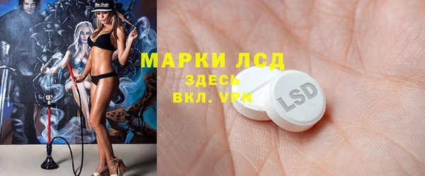 шишки Елабуга
