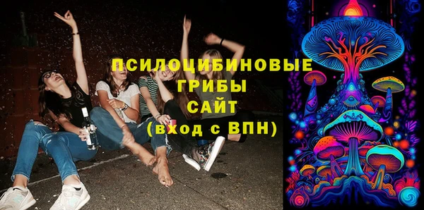 шишки Елабуга
