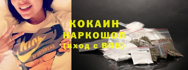 шишки Елабуга