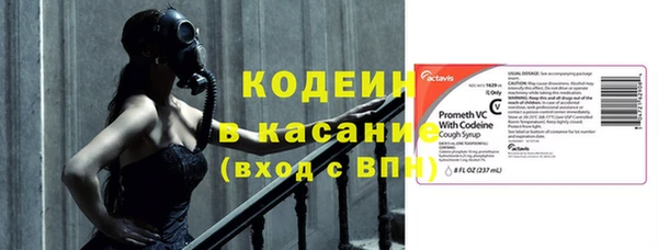 шишки Елабуга