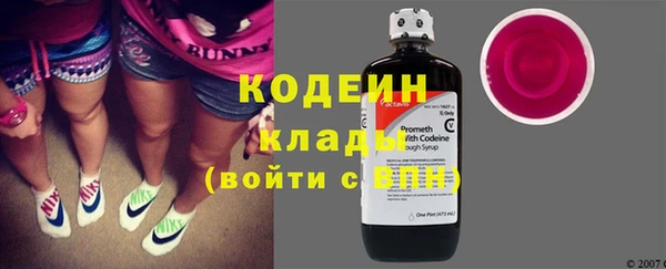 спиды Ельня