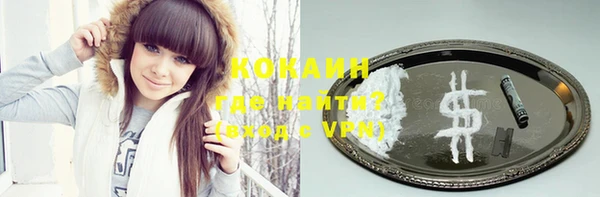 спиды Ельня