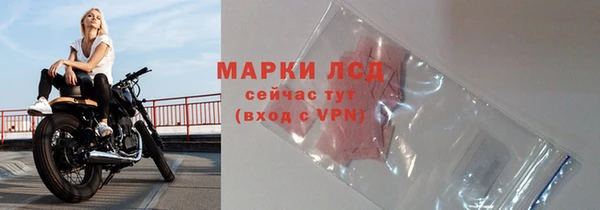 шишки Елабуга