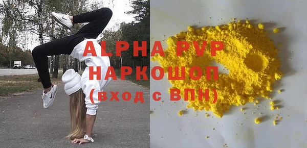 спиды Ельня