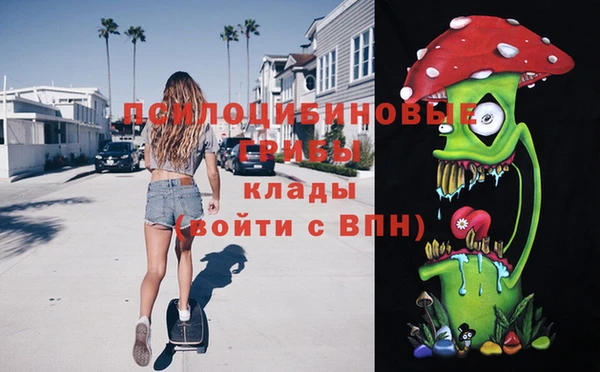 шишки Елабуга