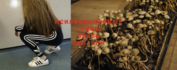 шишки Елабуга