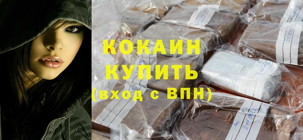 спиды Ельня