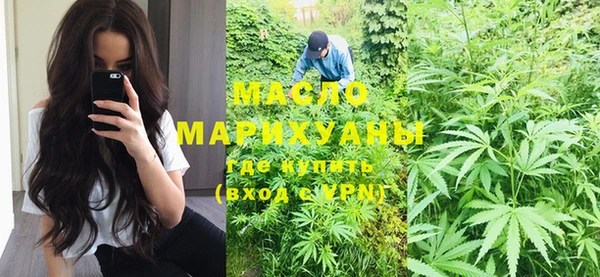 дмт Елизово