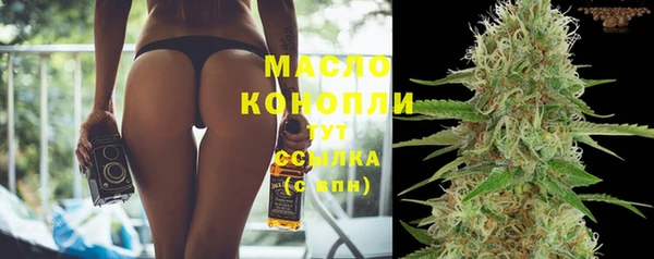 спиды Ельня