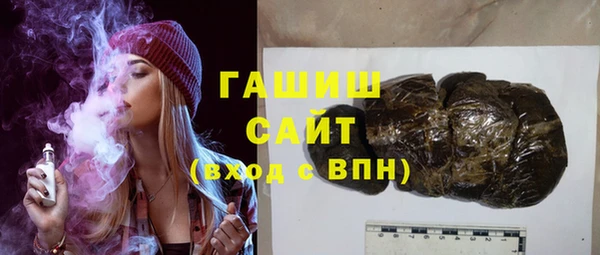 спиды Ельня